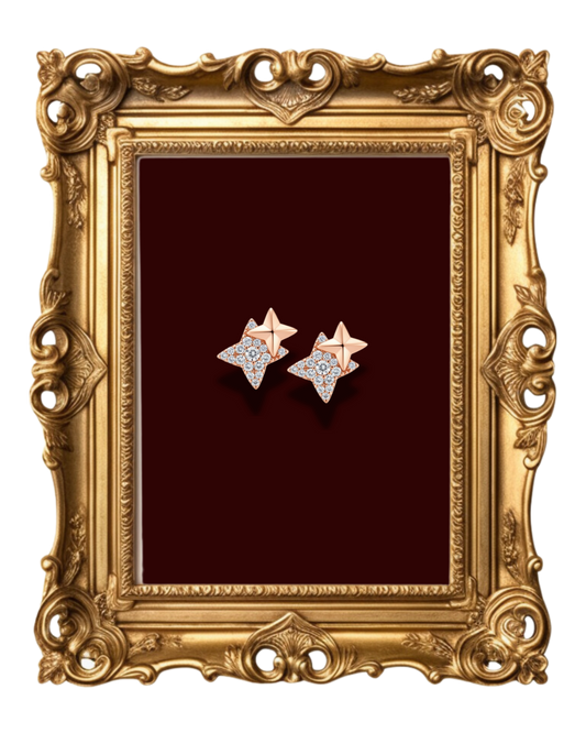Star Earrings