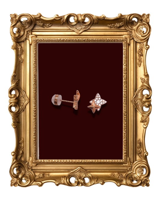 "Star-shaped earrings with zircon stones"
